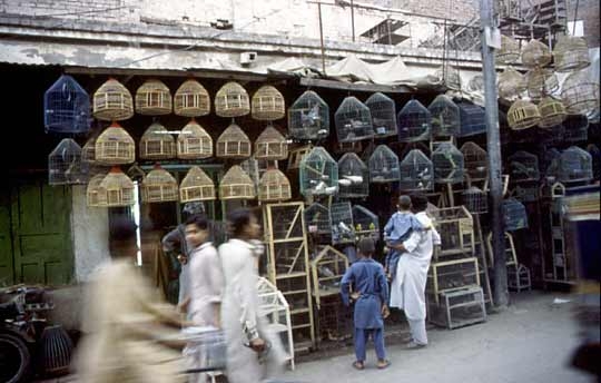 Qissa Khwani Bazaar