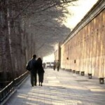 Beijing Pekin