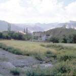 Alchi