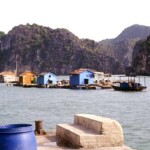 Cat Ba Island