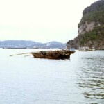Ha Long Bay
