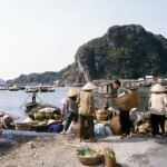 Cat Ba Island