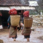 Red Dzao Sapa