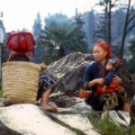 Sapa Red Dzao Sapa