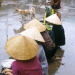 Mekong Delta