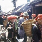 Red Dzao Sapa