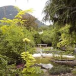 The Kohan Reflection Garden, New Denver