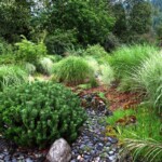 The Kohan Reflection Garden, New Denver