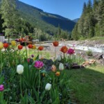 Sandon, BC
