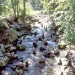 Cottonwood Falls, Nelson