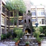 Casa de los Arboles, San Miguel