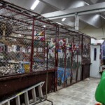 Mercado Municipal Valladolid