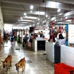 Mercado Municipal Valladolid