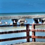 Progreso