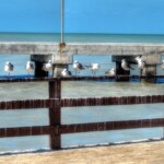 Progreso