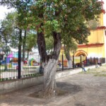Templo de San Francisco de Asís